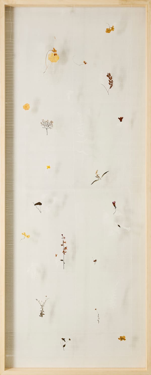 Sumakshi Singh, Synonyms 2, 2022