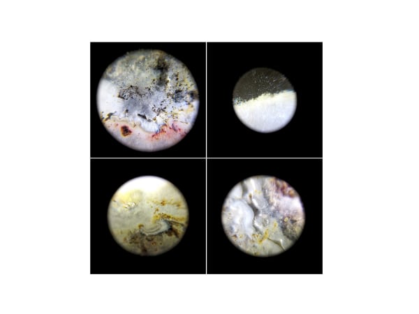 Maksud Ali Mondal, Series II (Set of 4), 2024