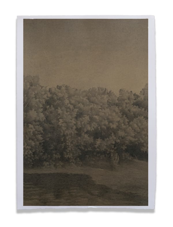 Sketched on a coffee-stained paper with graphite pencil, Irfan Channa, artist from Pakistan, imagines landscapes inspired by nature and explores deep connect with ecology