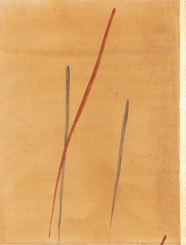 Hammad Gillani, Poor Translation- III, 2021