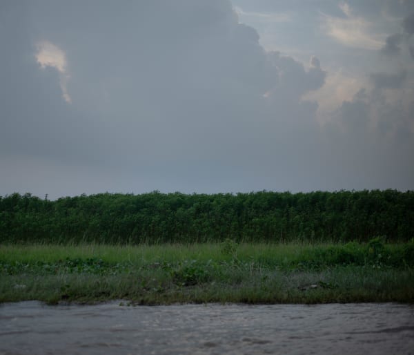 Ashfika Rahman Files of the Disappeared, 2018 - Ongoing Digital Print on Archival Paper 96.5 x 111.8 cm 38 x 44 in Edition of 3 plus 1 artist's proof