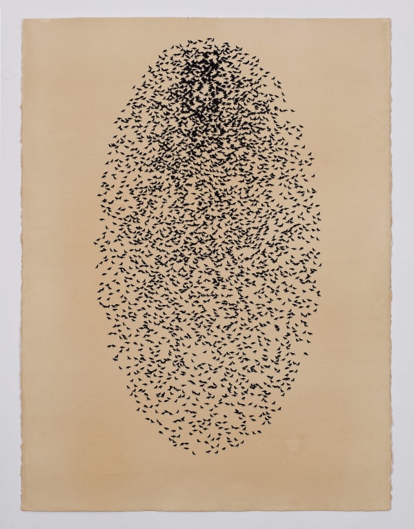 Arslan Farooqi, Microcosm II, 2025