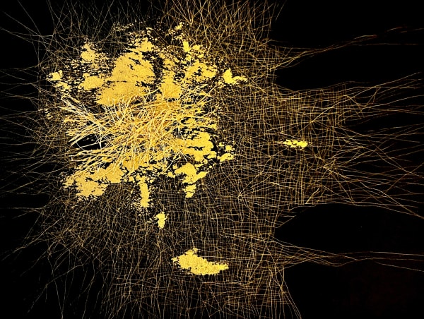 Dhara Mehrotra, Echo IX (13), 2024