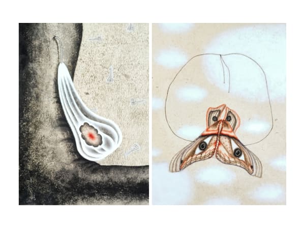 Neelima Nath Beloved Remains, 2023 Watercolor on Wasli paper 21.7 x 16 cm each 8 1/2 x 6 1/4 in Diptych