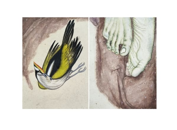 Neelima Nath Beloved Remains, 2023 Watercolor on Wasli paper 21.7 x 16 cm each 8 1/2 x 6 1/4 in Diptych