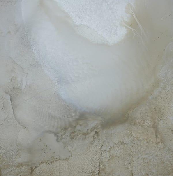 Mary Morrison artwork for sale