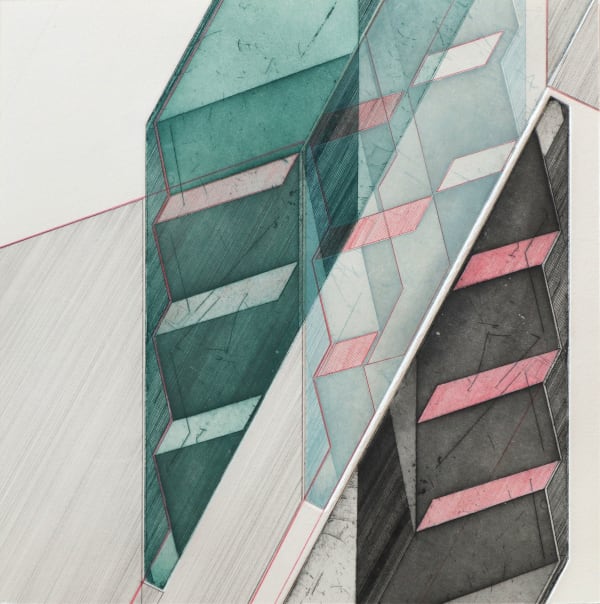 Bronwen Sleigh scottish printmaker