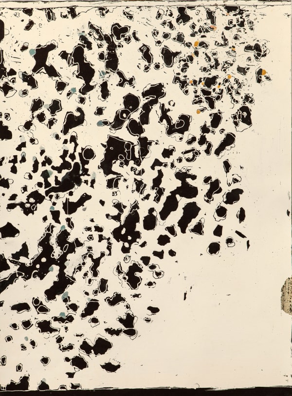 Liz Douglas Scotland