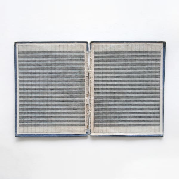 Eleanor Wood, Cipher series (King Arthur's Knights)