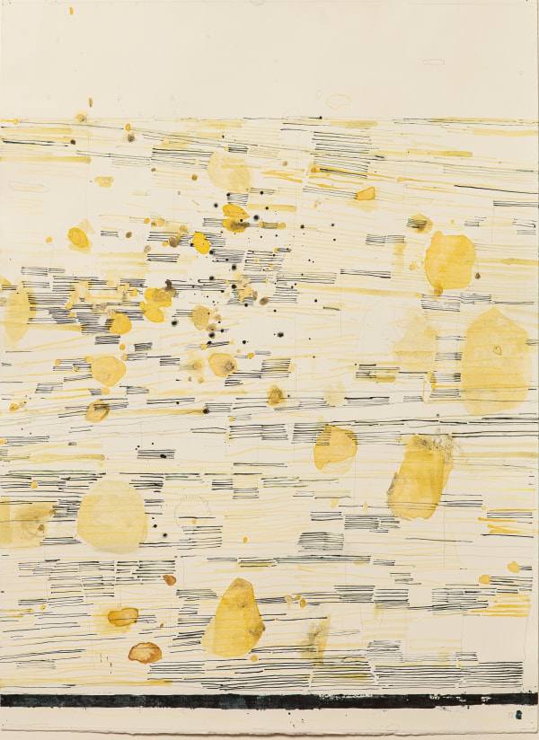 Liz Douglas Scotland