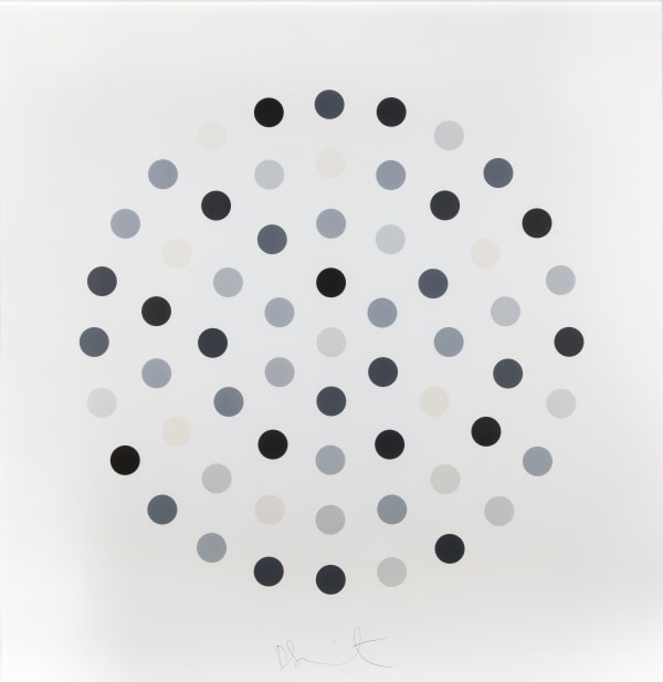 Damien Hirst, Cinchonidine , 2004