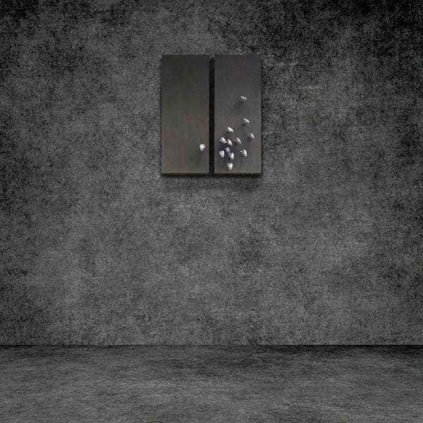 Peter Burke, Second Incident, 2012