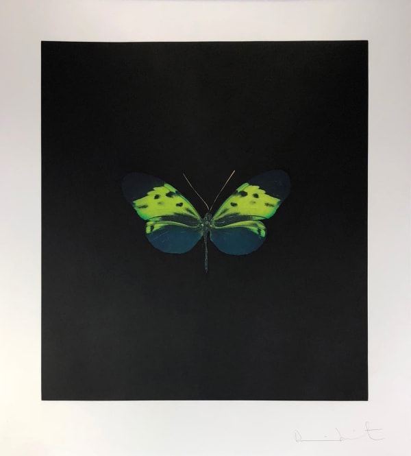 Damien hirst prints for sale