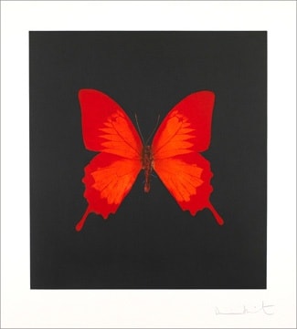 Damien - Hirst, The Souls on Jacob's Ladder Take Their Flight (Large Red Butterfly), 2007