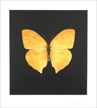 Damien - Hirst, The Souls on Jacob's Ladder Take Their Flight (Large Yellow Butterfly), 2007