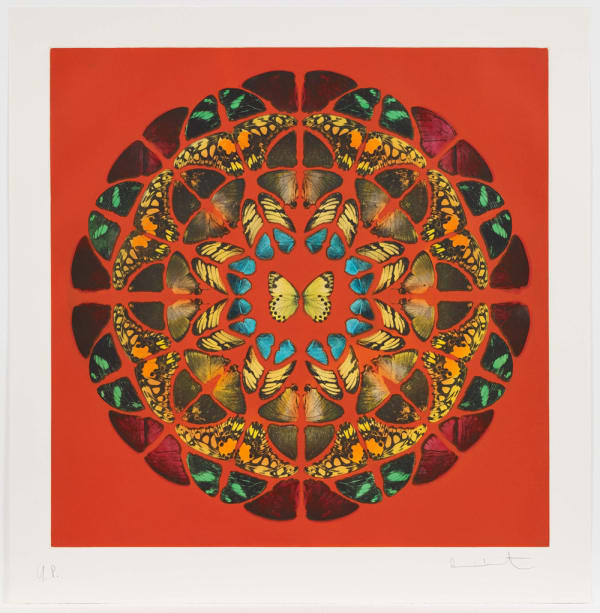 Signed Damien Hirst prints for sale