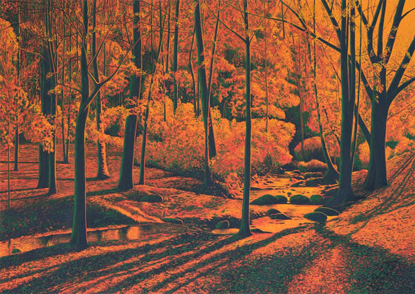 Höst, långa skuggor / Autumn, long shadows