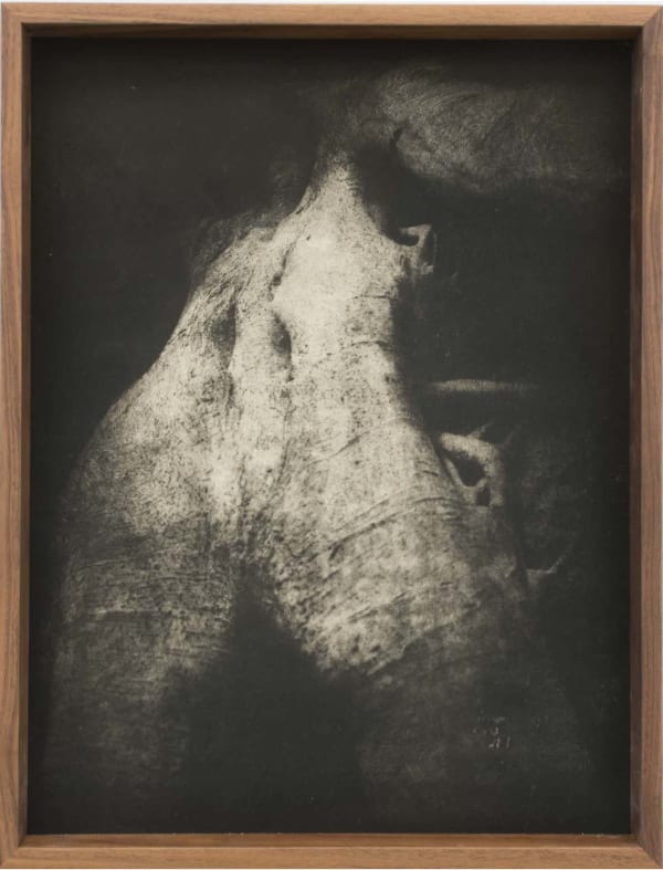 Detail (Heliogravure print 4)