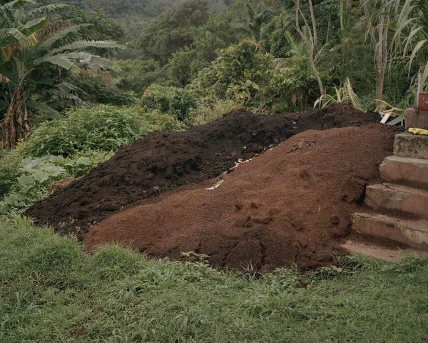 Grenada Cocoa Layers