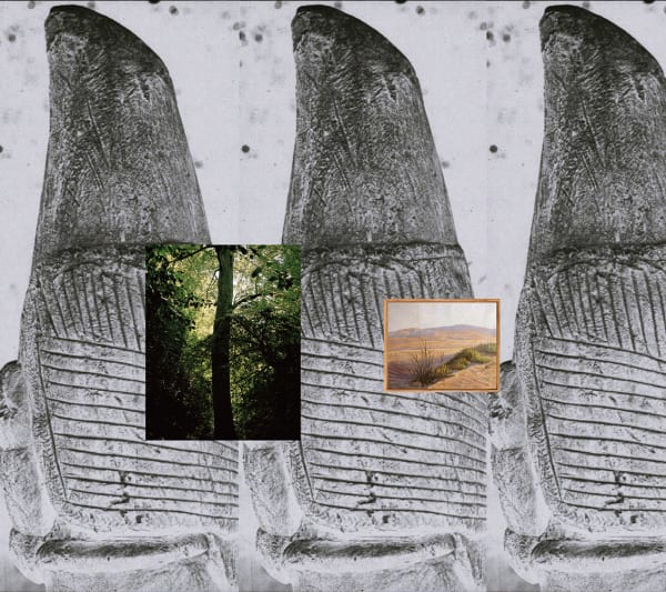 Santiago Mostyn, Language Against Identity (Snake Tree), 2024