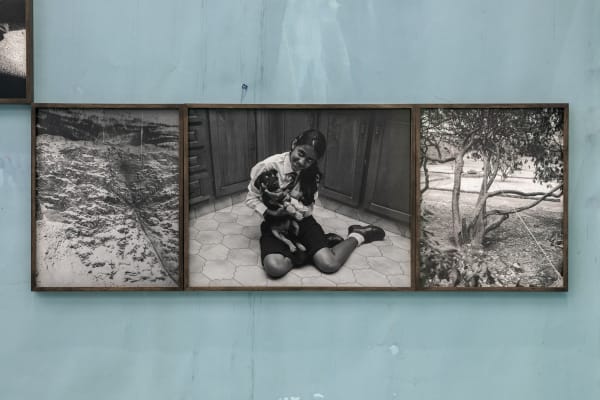 08-18 (Past Perfect), Untitled (Naughty Puppy)