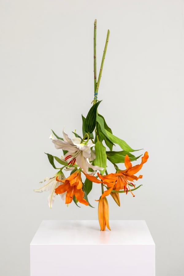 Arrangement