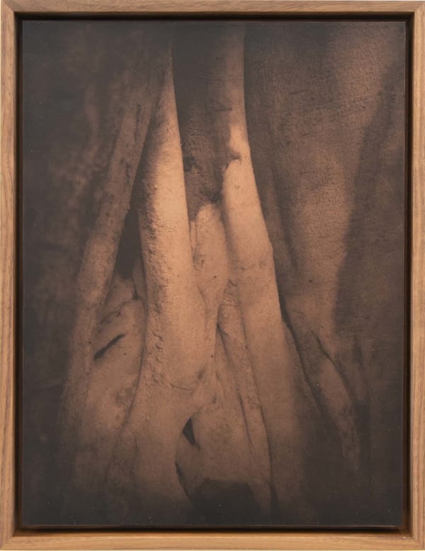 Detail (Copper plate 6)