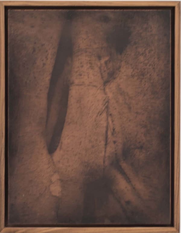 Detail (Copper plate 5)