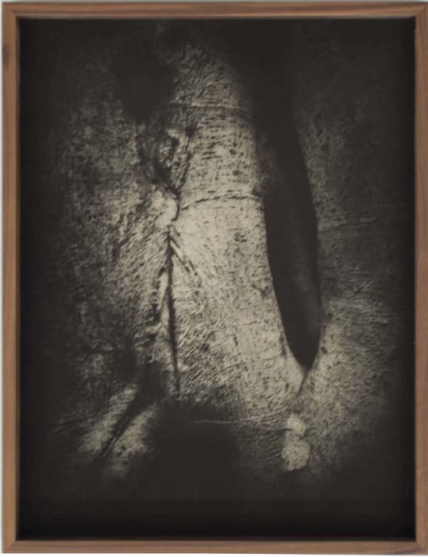 Detail (Heliogravure print 5)