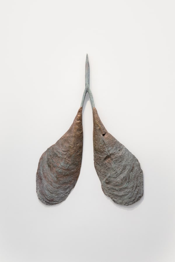 Divining lungs, no. 5