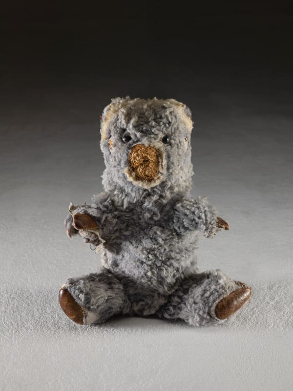 The Body of Anthropocene