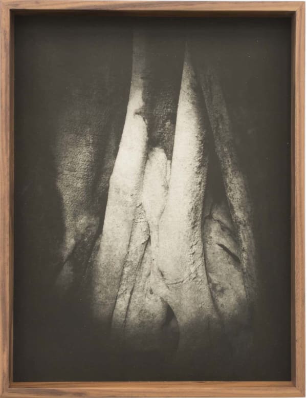 Detail (Heliogravure print 6)