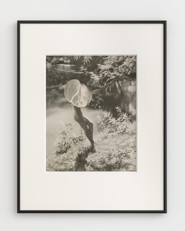 Linder, The Lotus of the Palace of Air, 2022