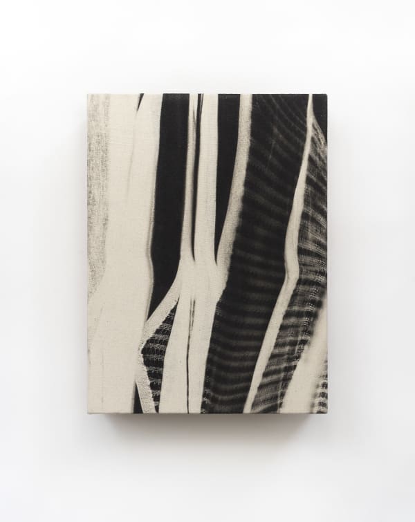 Llamas de Lluvia II (Phantogram)