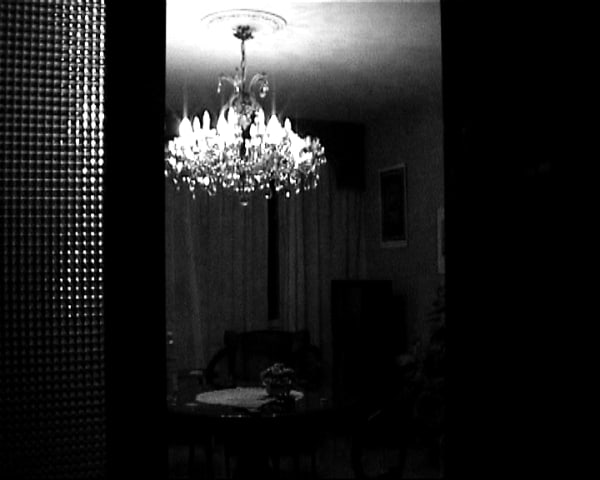 Hanging out with an old friend (Venice)