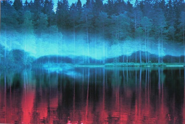 Dimman II / The Mist II