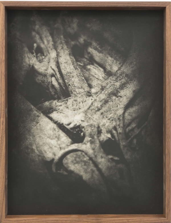 Detail (Heliogravure print 2)