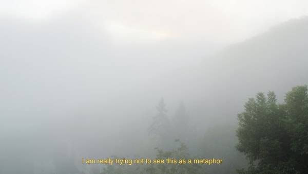 I am really trying not to see this as a metaphor