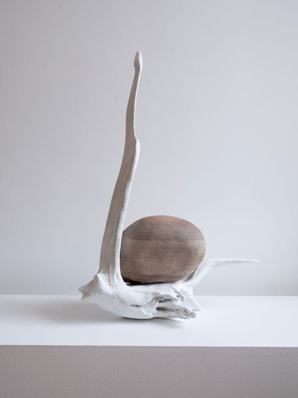 Book of Life | Книга Жизни