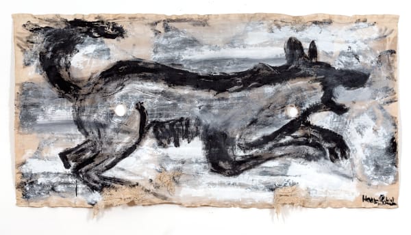 Wild dog | Дикая собака
