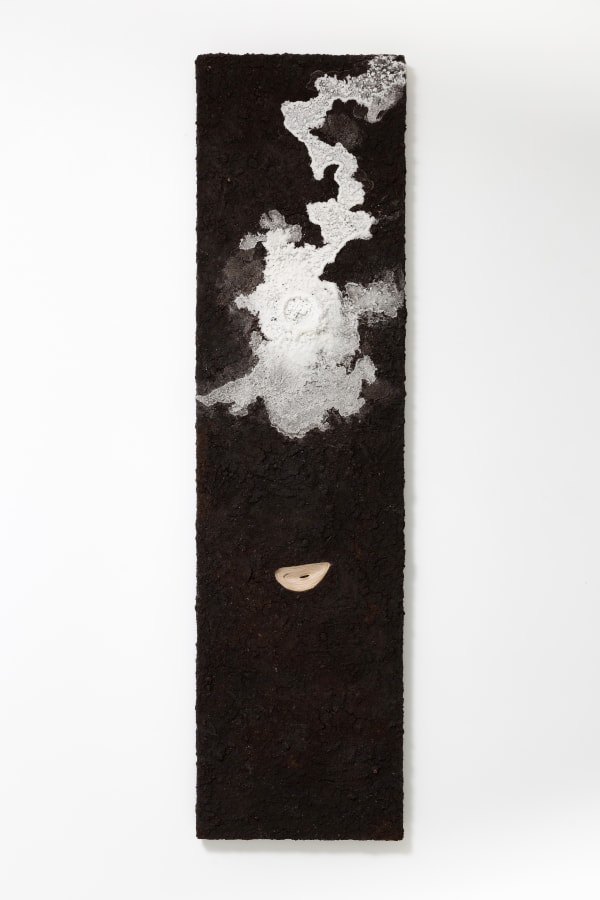 Денис Патракеев World in Flux | Мира течение, 2017 Salt, soil, mixed media on plywood ground | Фанера, соль, земля, смешанная техника 149 x 40 cm 58 5/8 x 15 3/4 in