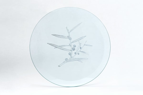 Анастасия Потёмкина Acacia confusa, 2019 Glass engraving | Гравировка по стеклу 37 x 37 cm