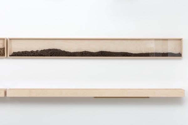 Дима Филиппов Time of land. Ulyanovsk | Время земли. Ульяновск, 2024 Plywood, glass, soil, digital print on photo-paper | Фанера, стекло, земля, цифровая печать на фотобумаге 25 x 225 х 9 cm; 25 x 225 х 9 cm Серия: Время земли