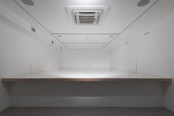 Дима Филиппов Untitled | Без названия, 2024 Linden, salt solution, plywood | Липа, раствор с солью, фанера 560 x 770 x 100 cm Серия: Время земли