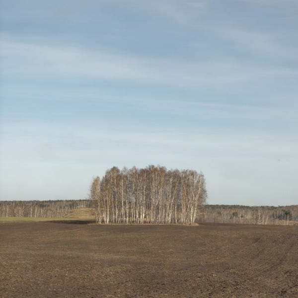 Krasnoyarsk region, 2020 | Красноярский край, 2020