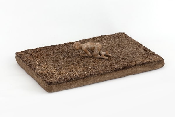 Crawling on the ground | Ползущий по земле