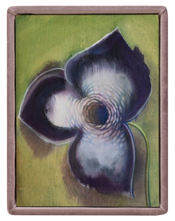 Alina BLIUMIS, Asarum, série Plant Parenthood, 2022