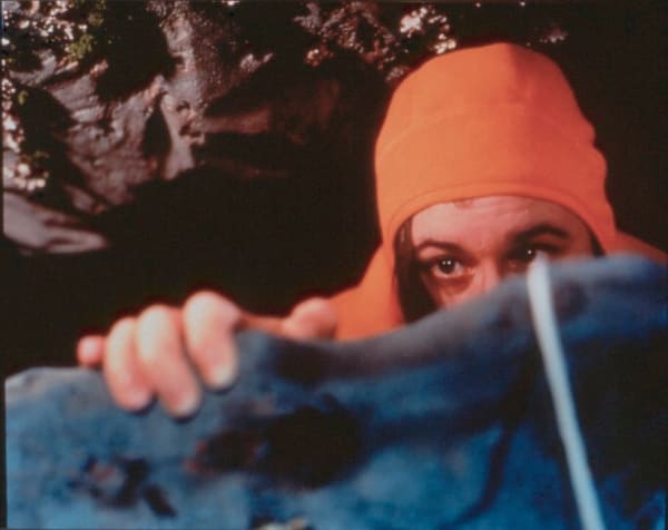 Deborah Mesa Pelly, Cave, 1999 *