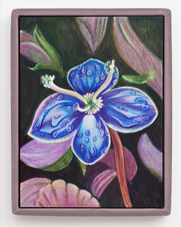 Alina BLIUMIS, Veronica Fruticans, série Plant Parenthood, 2023