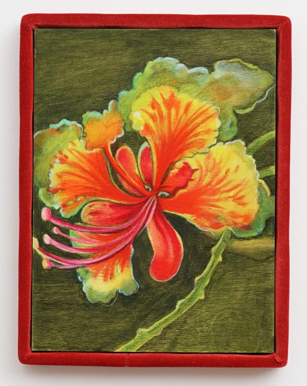 Alina BLIUMIS, Peacock Flower, Série Plant Parenthood, 2022